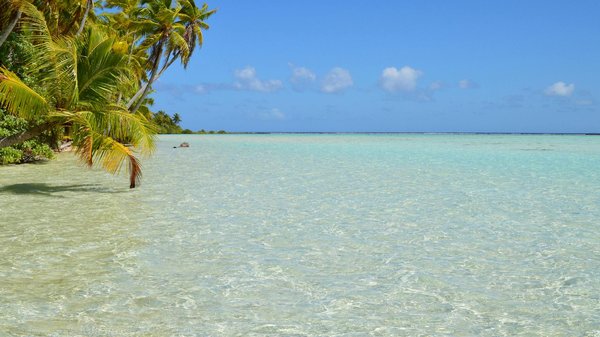 How can travelers immerse themselves in the UK's local cultures?